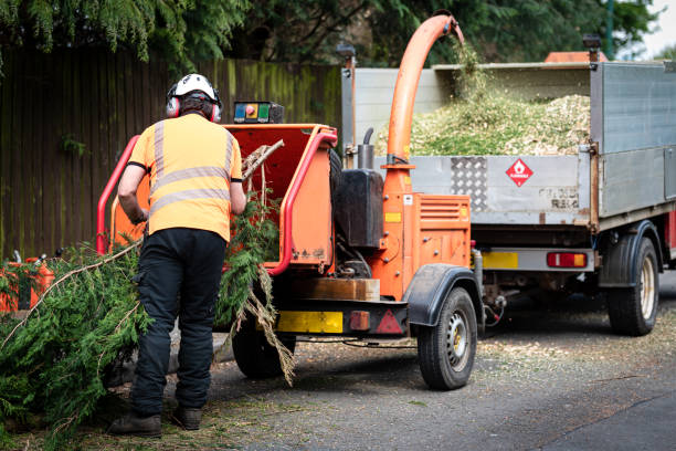 Lawn Maintenance Plans in Detroit Lakes, MN